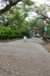 resIMG_20130331_4543.JPG